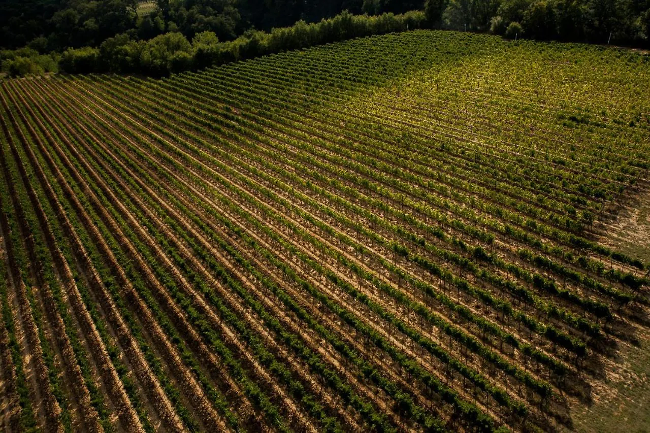 Il Borro Relais & Chateaux San Giustino Valdarno Hotel